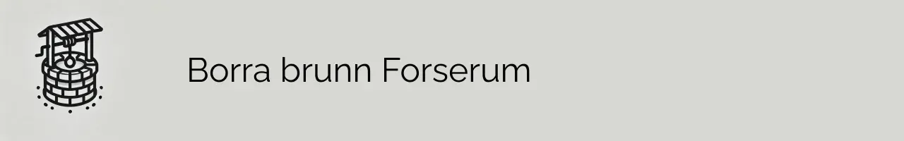 Borra brunn Forserum